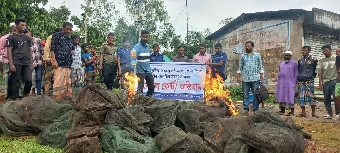 নবীগঞ্জে ৩০টি নিষিদ্ধ চায়না জাল জব্দ, আগুনে পুড়িয়ে ধ্বংস