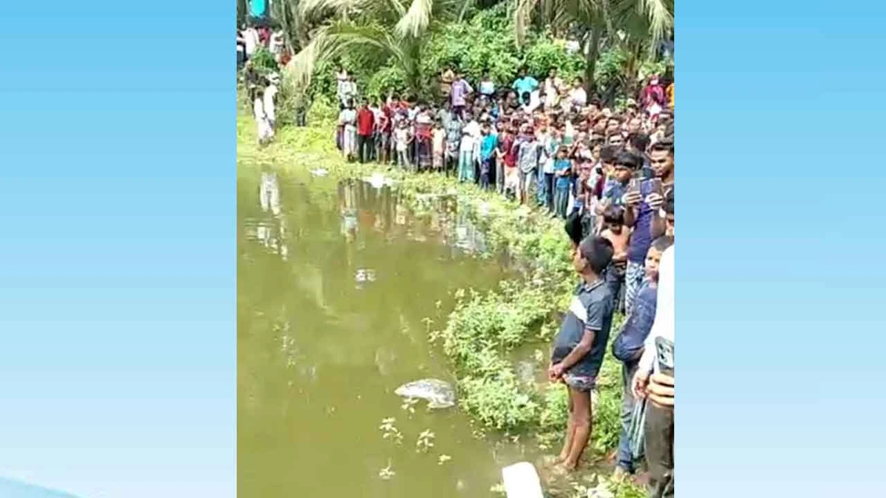 ভোরে নাশতা করে বের হওয়ার কয়েক ঘণ্টা পর পুকুরে মিলল দুই সন্তানের বাবার মরদেহ